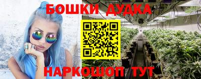 гашик Бузулук