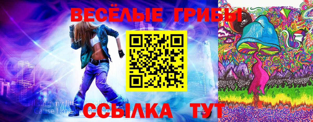 Протвино  Псилоцибиновые грибы Cubensis  Псилоцибиновые грибы Psilocybine cubensis  Вход с VPN 
